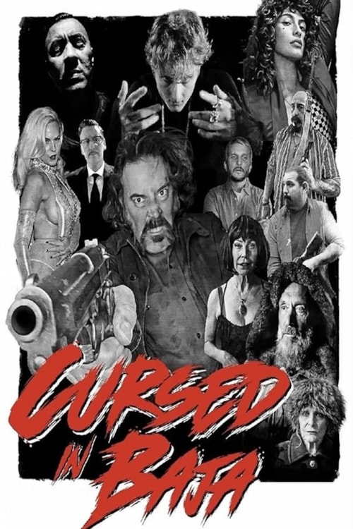Cursed In Baja poster
